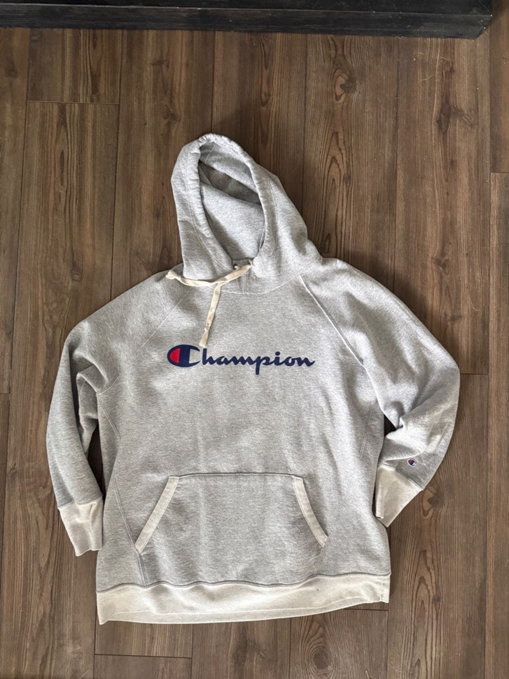 Champion hoodie size 1X